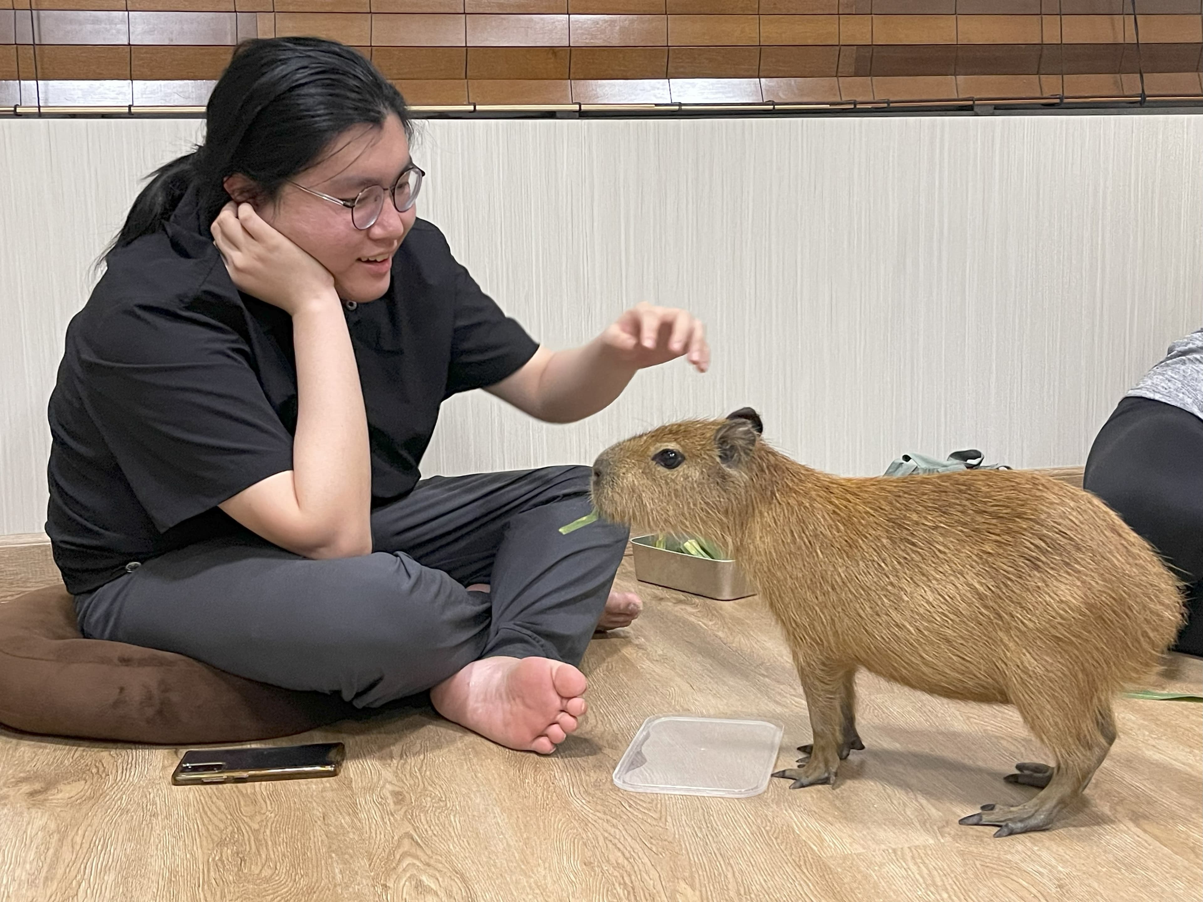 Capibara 2